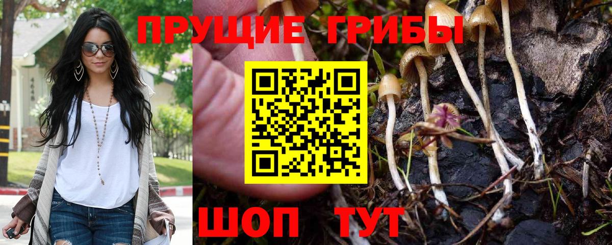 Псилоцибиновые грибы мухоморы Ртищево
