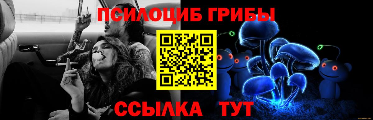 Галлюциногенные грибы Cubensis  Вход с VPN  Ртищево 